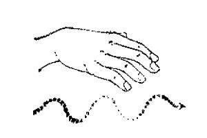 和你一样手语分解视频,跟随专业解读，轻松掌握手语技巧