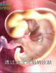 怀孕视频大全